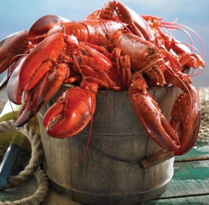 Fortune Fish Expands into E-Commerce Seafood Sales With Deal to Buy Lobster Gram